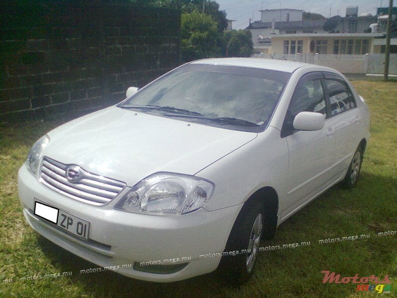 2001' Toyota Corolla NZE photo #1