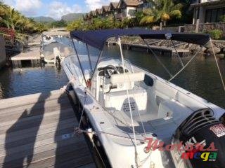 2009' Cobra photo #3