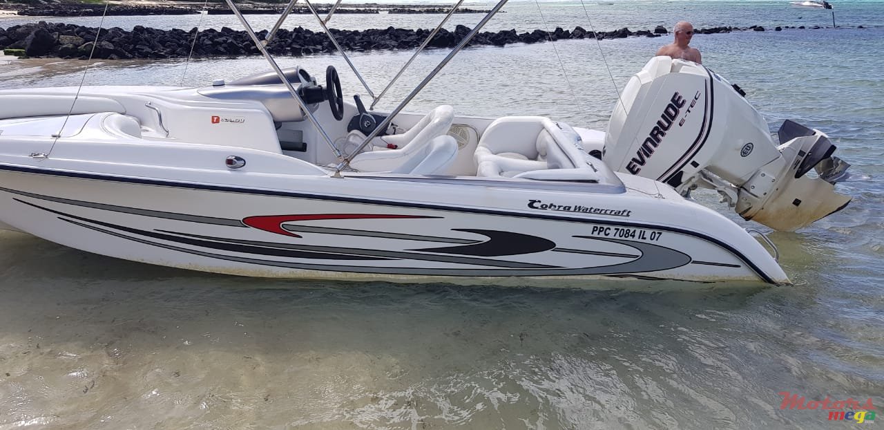 2008' Cobra photo #4