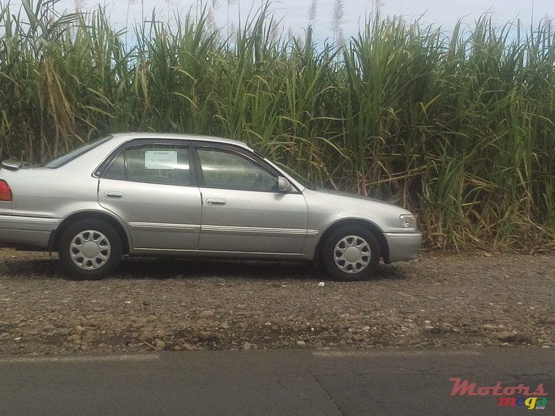 1995' Toyota Corolla EE111 photo #1