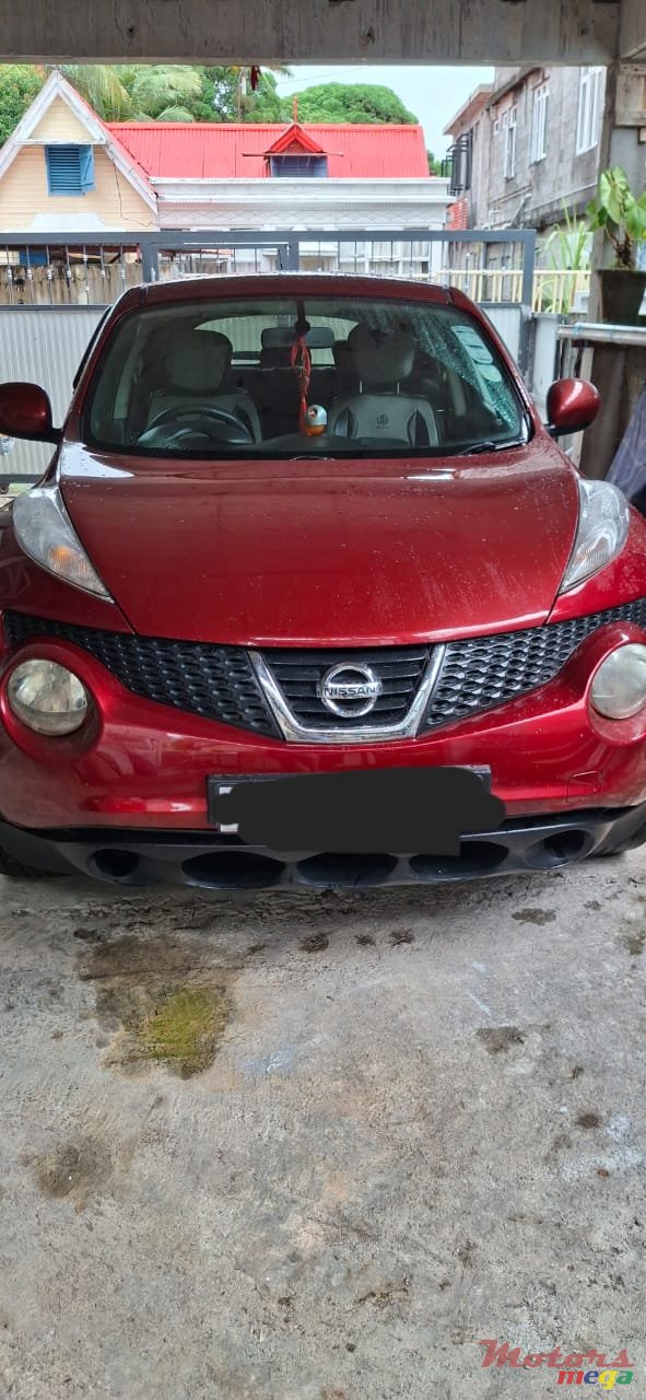 2012' Nissan Juke photo #3