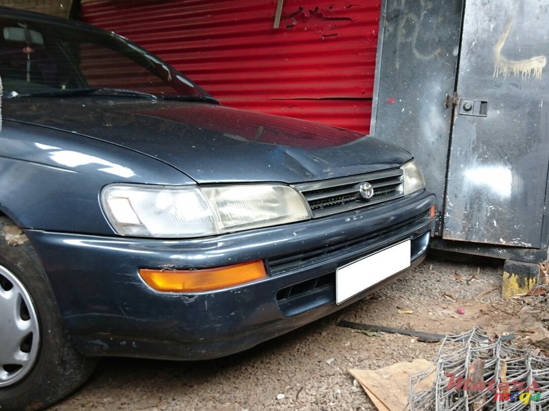 1992' Toyota Corolla EE101 photo #1