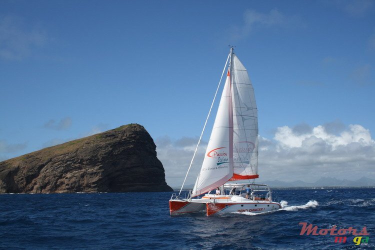 2008' Sail photo #1
