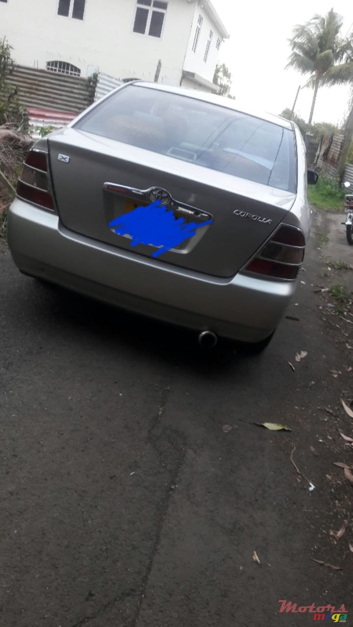 2001' Toyota Corolla photo #1