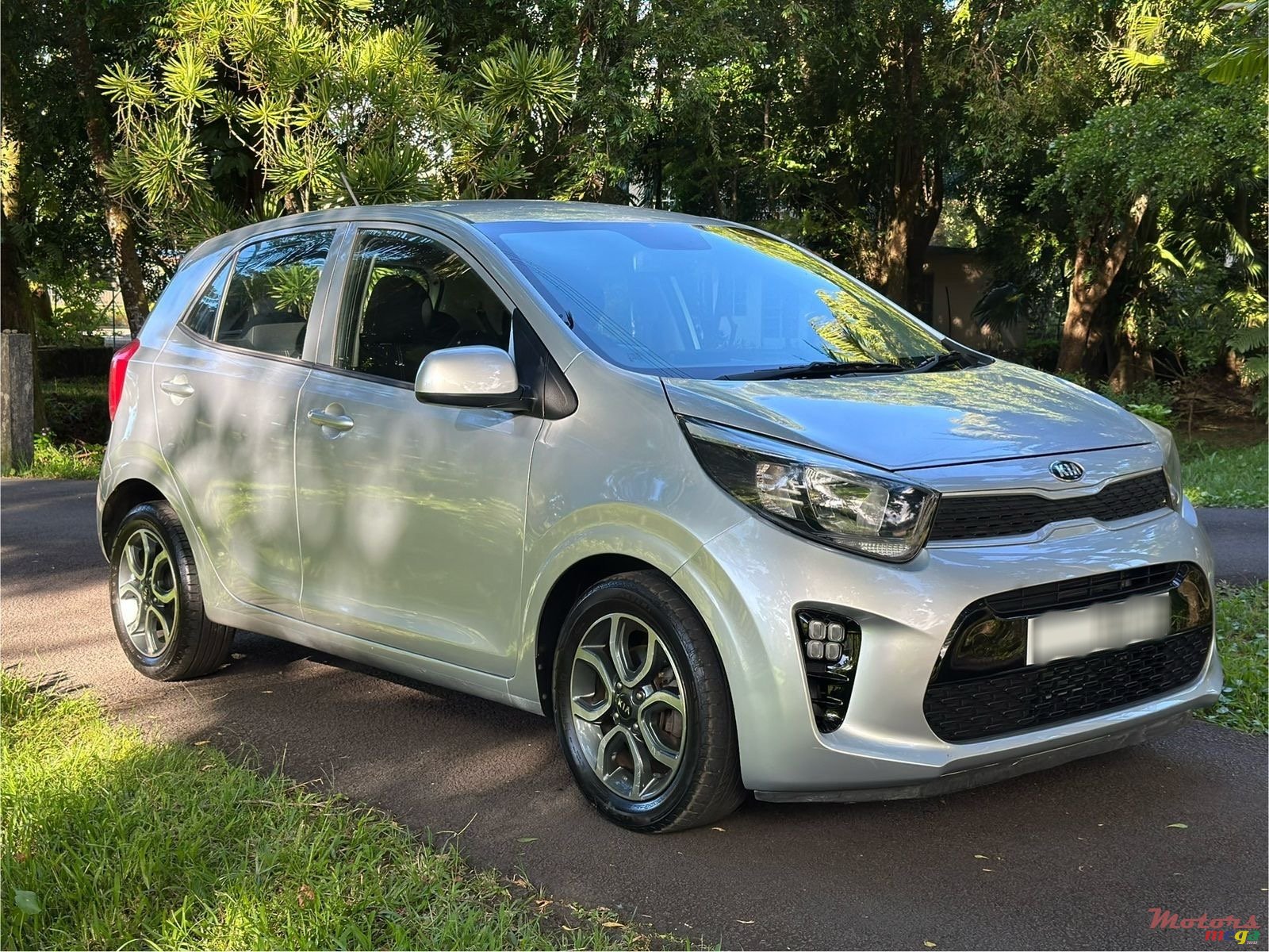 2019' Kia Picanto photo #1