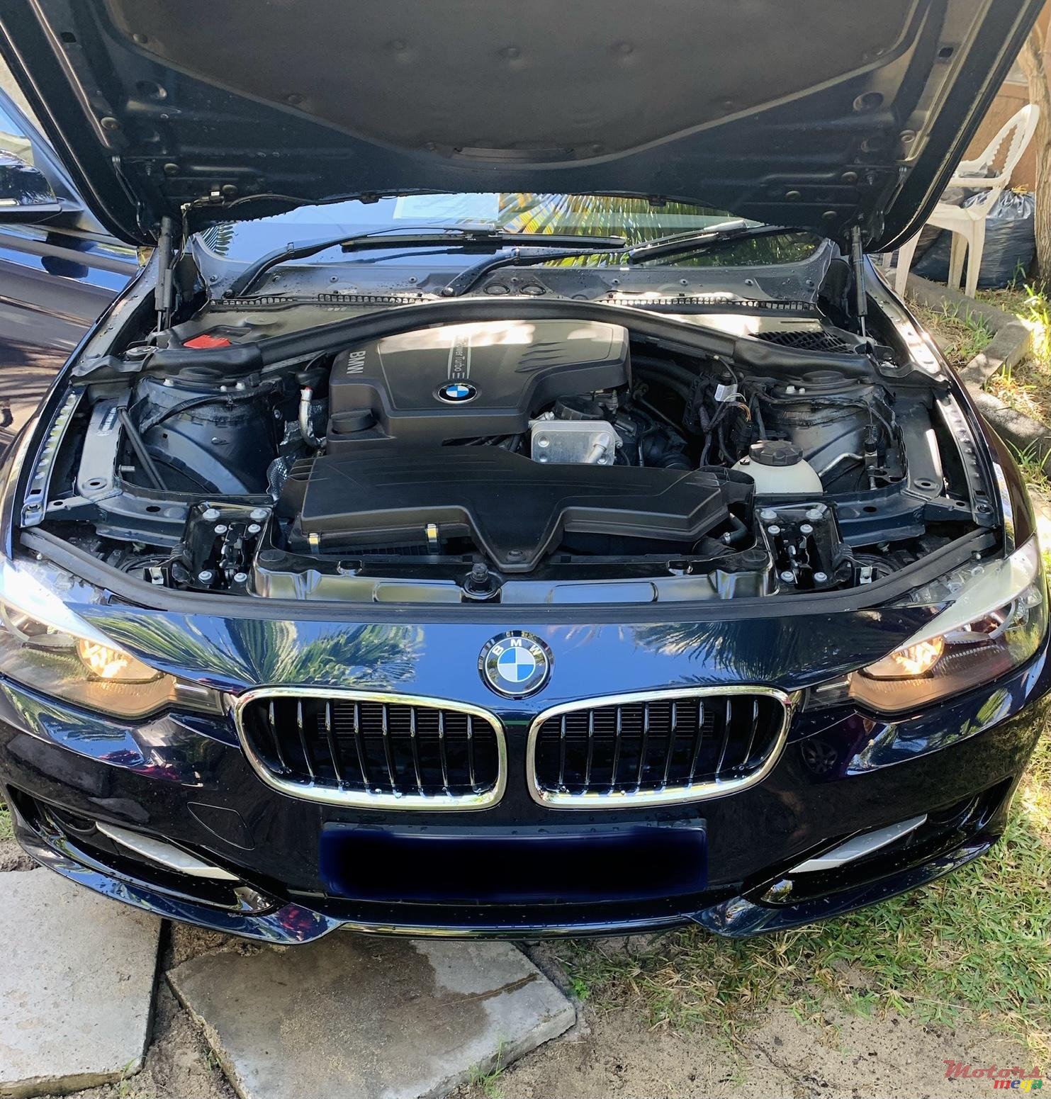 2012' BMW 3 Series 320i 2L TwinPower Turbo photo #6