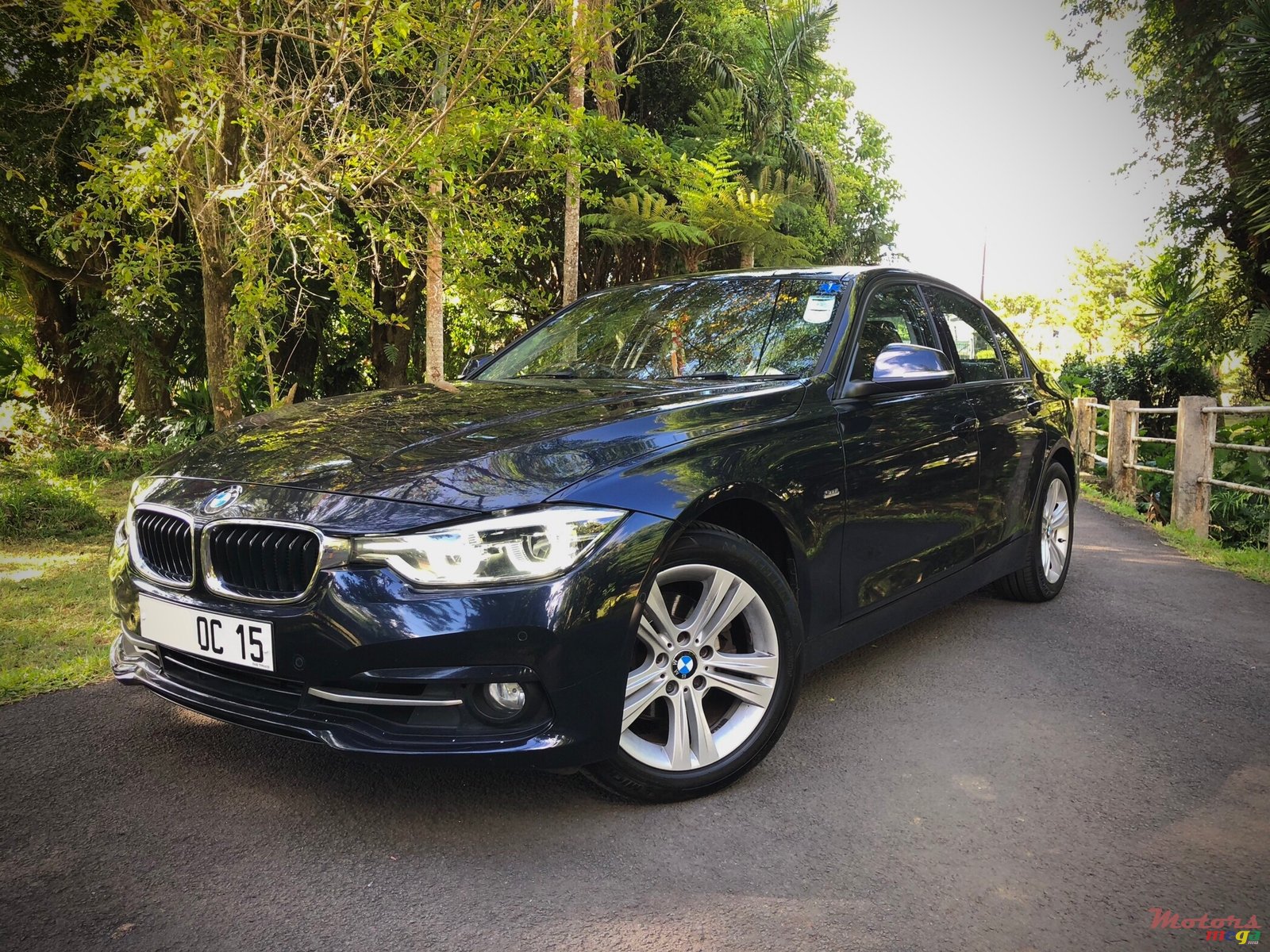 2015' BMW 318 318i photo #6