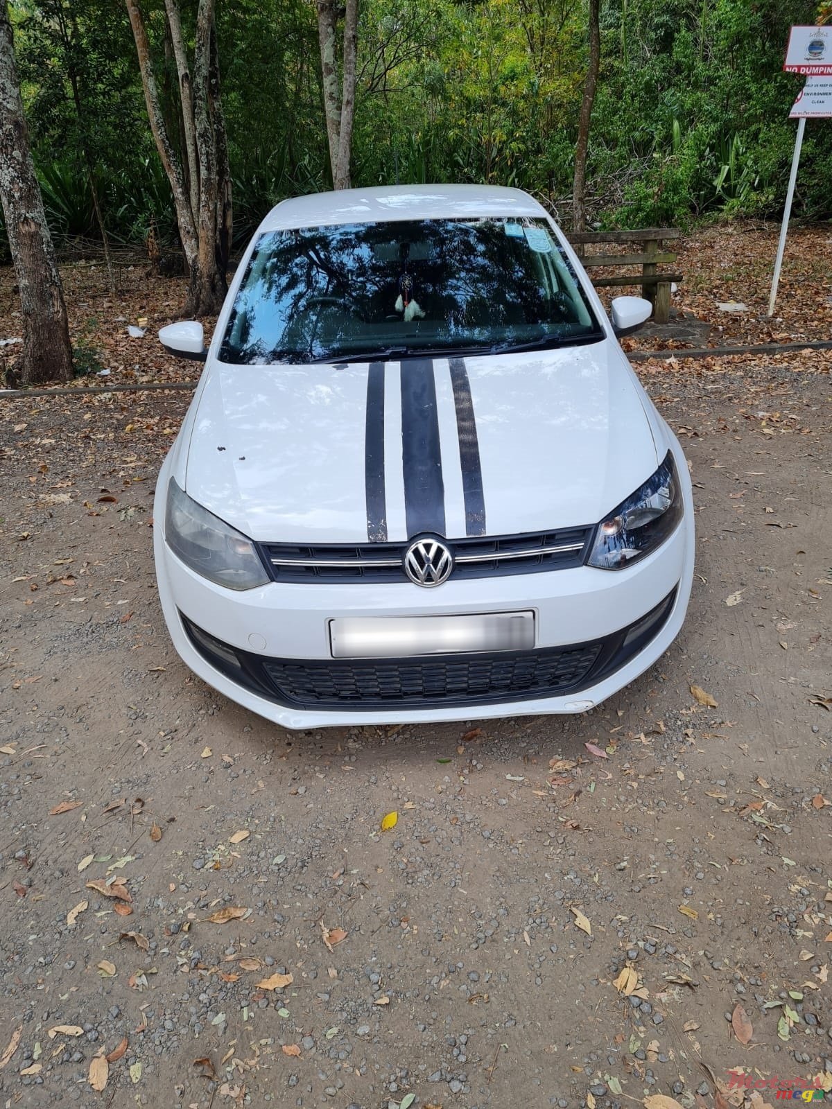 2010' Volkswagen Polo photo #1