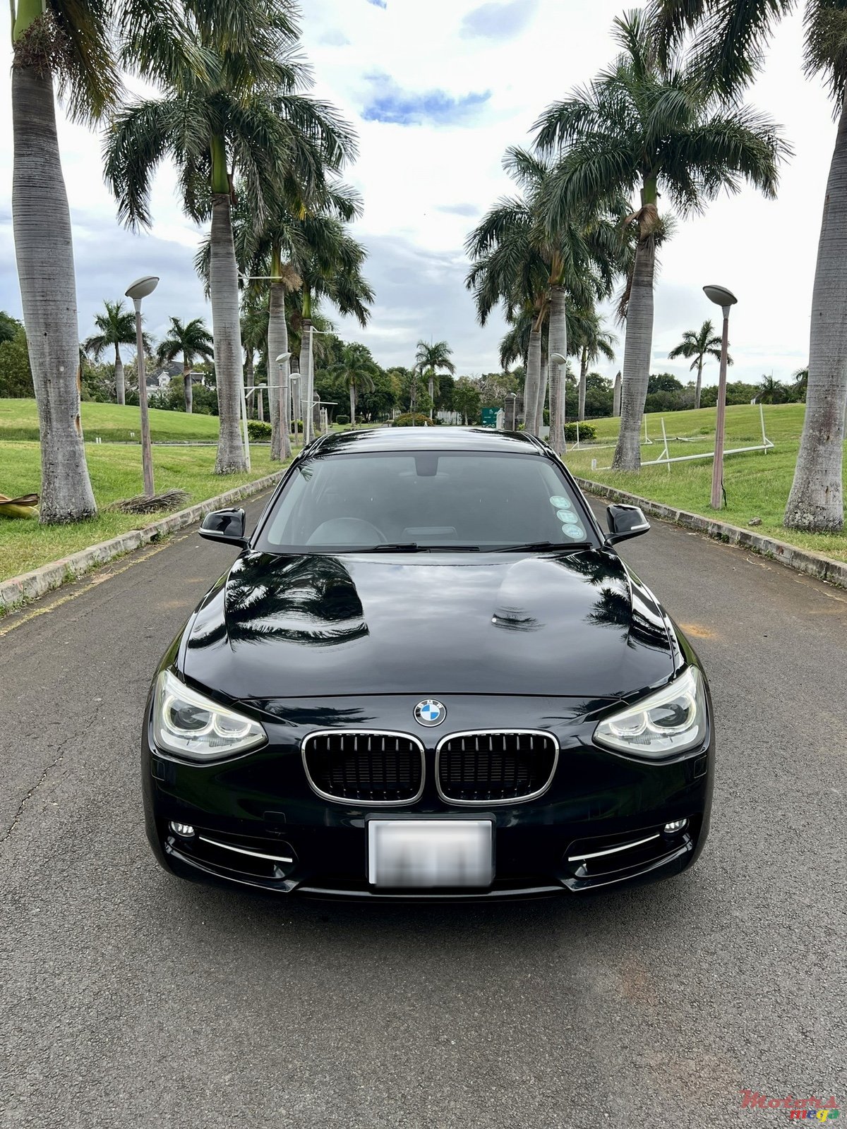 2013' BMW 116 photo #1