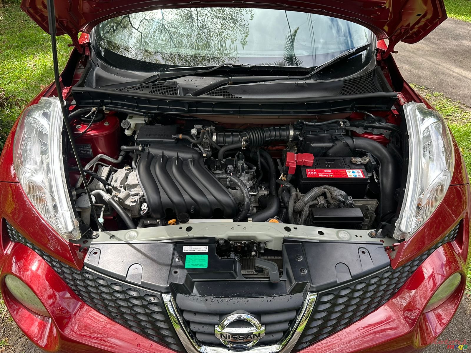 2012' Nissan Juke photo #5