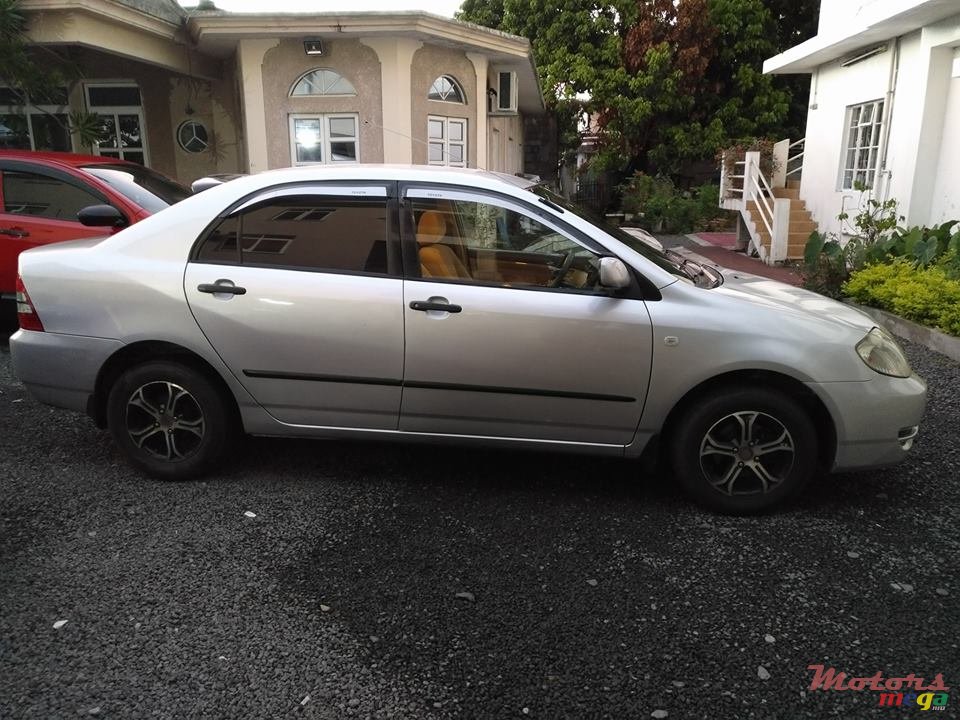 2004' Toyota Corolla NZE photo #3