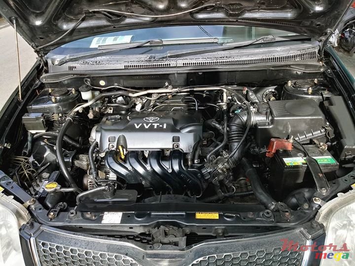 2004' Toyota Corolla FEILDER G-EDITION photo #2