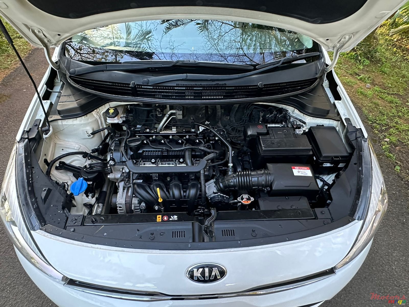 2021' Kia Rio photo #6