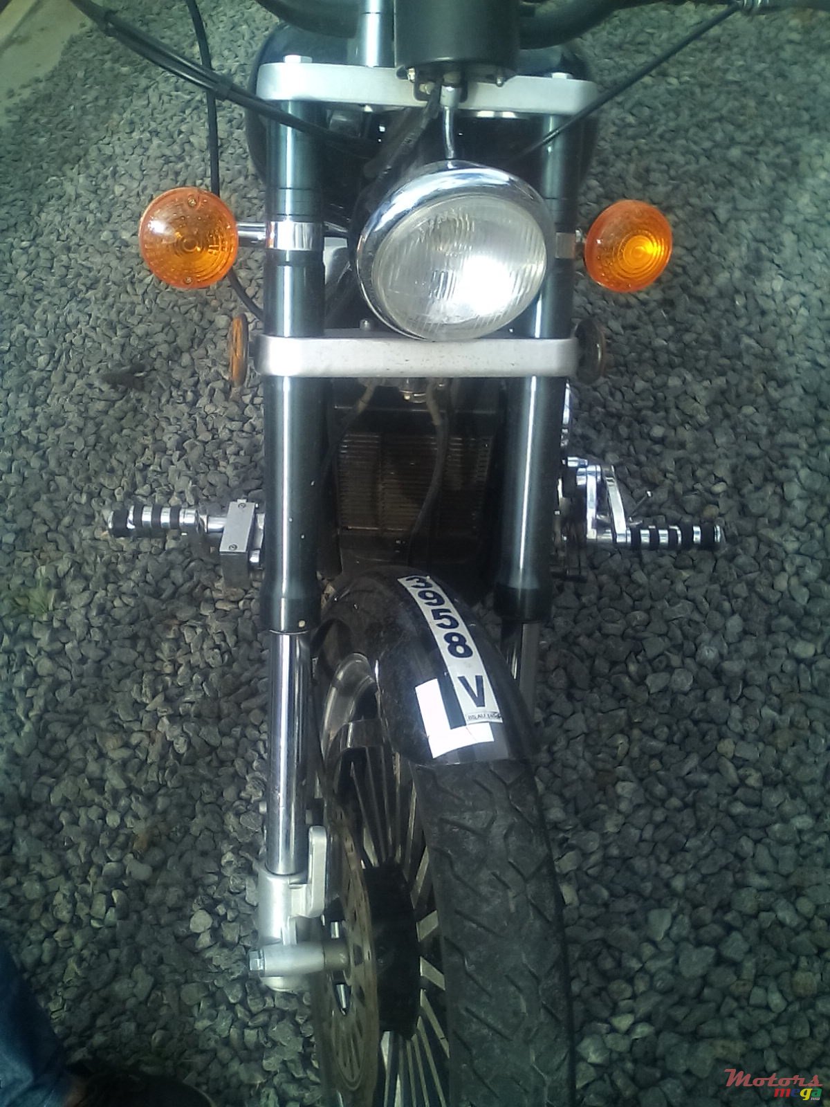 2010' Regal-Raptor photo #2