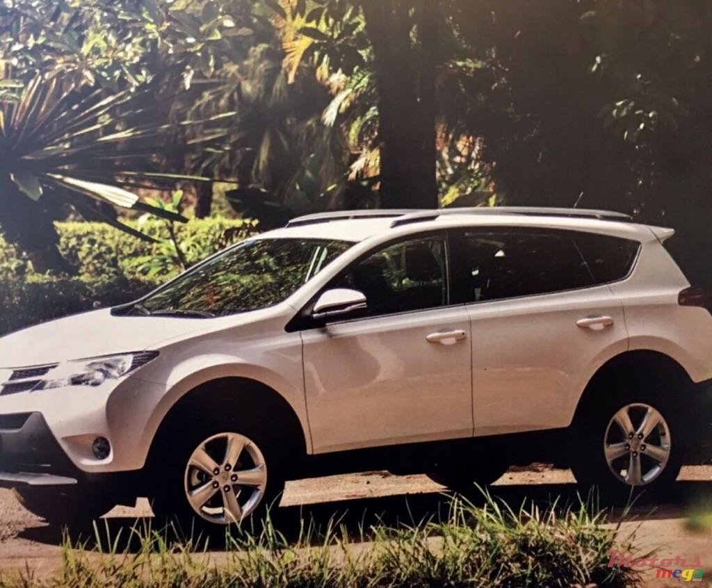 2014' Toyota RAV4 photo #1