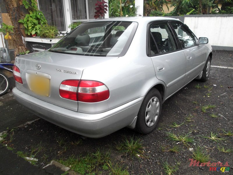 1999' Toyota Corolla photo #2