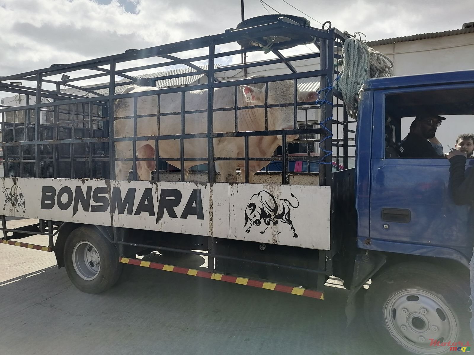 1994' Mitsubishi photo #1