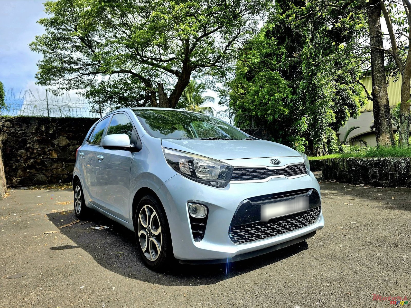 2019' Kia Picanto photo #2