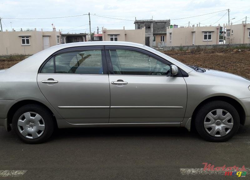 2003' Toyota Corolla NZE photo #2