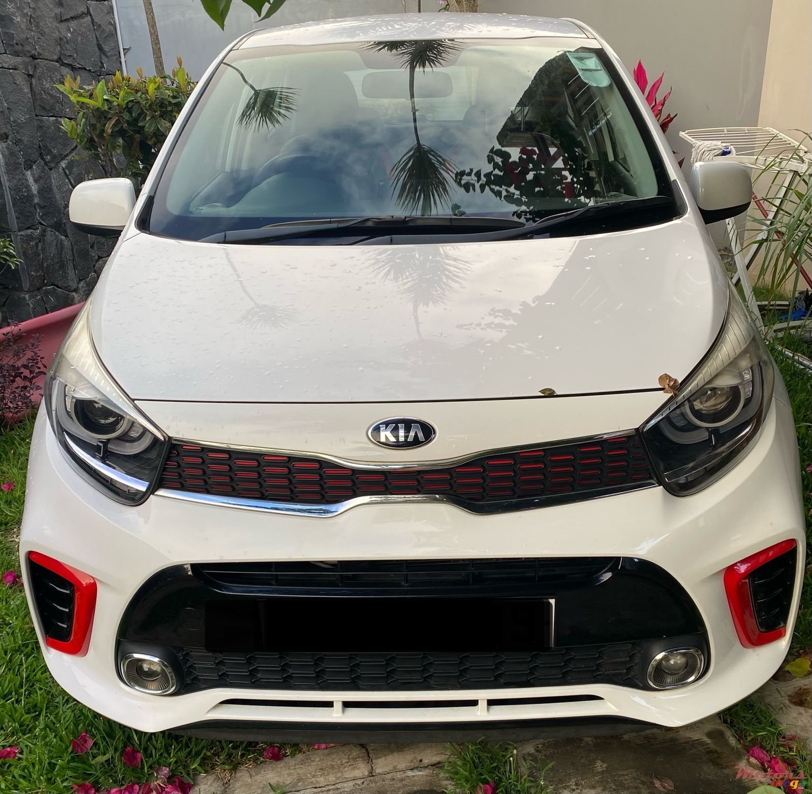 2019' Kia Picanto photo #1