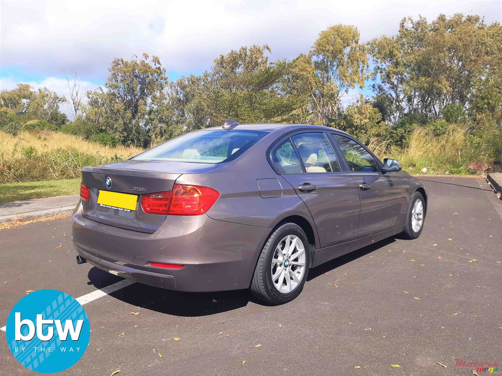 2013' BMW 3 Series 316i photo #2