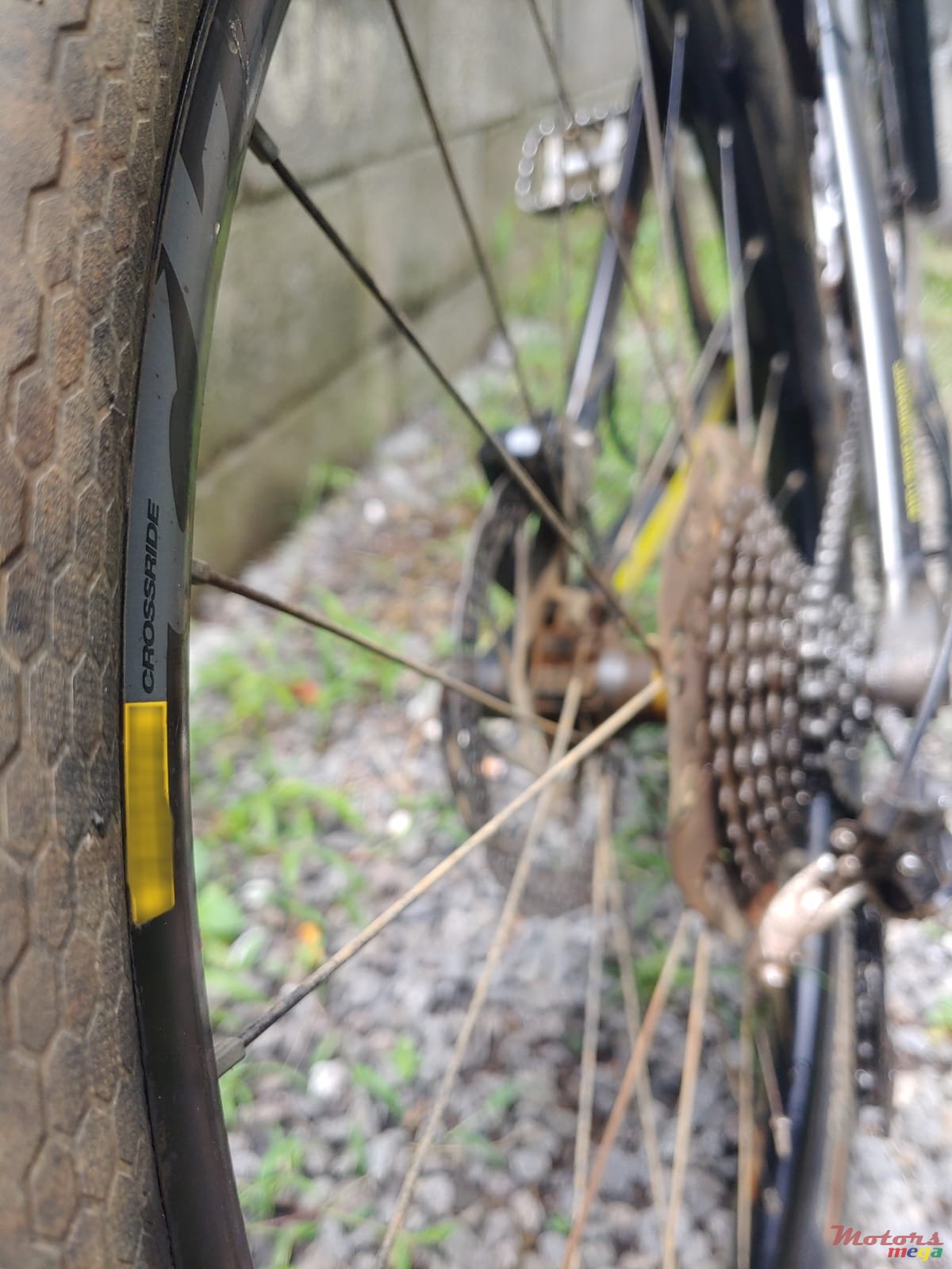 2017' Cannondale photo #7