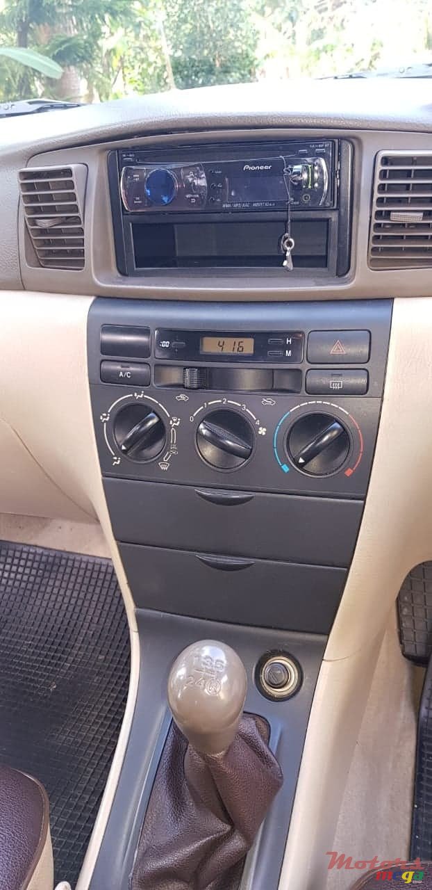 2002' Toyota Corolla NZE photo #4