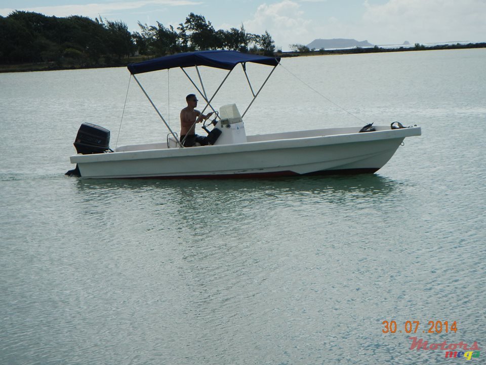 2013' Evinrude* photo #1