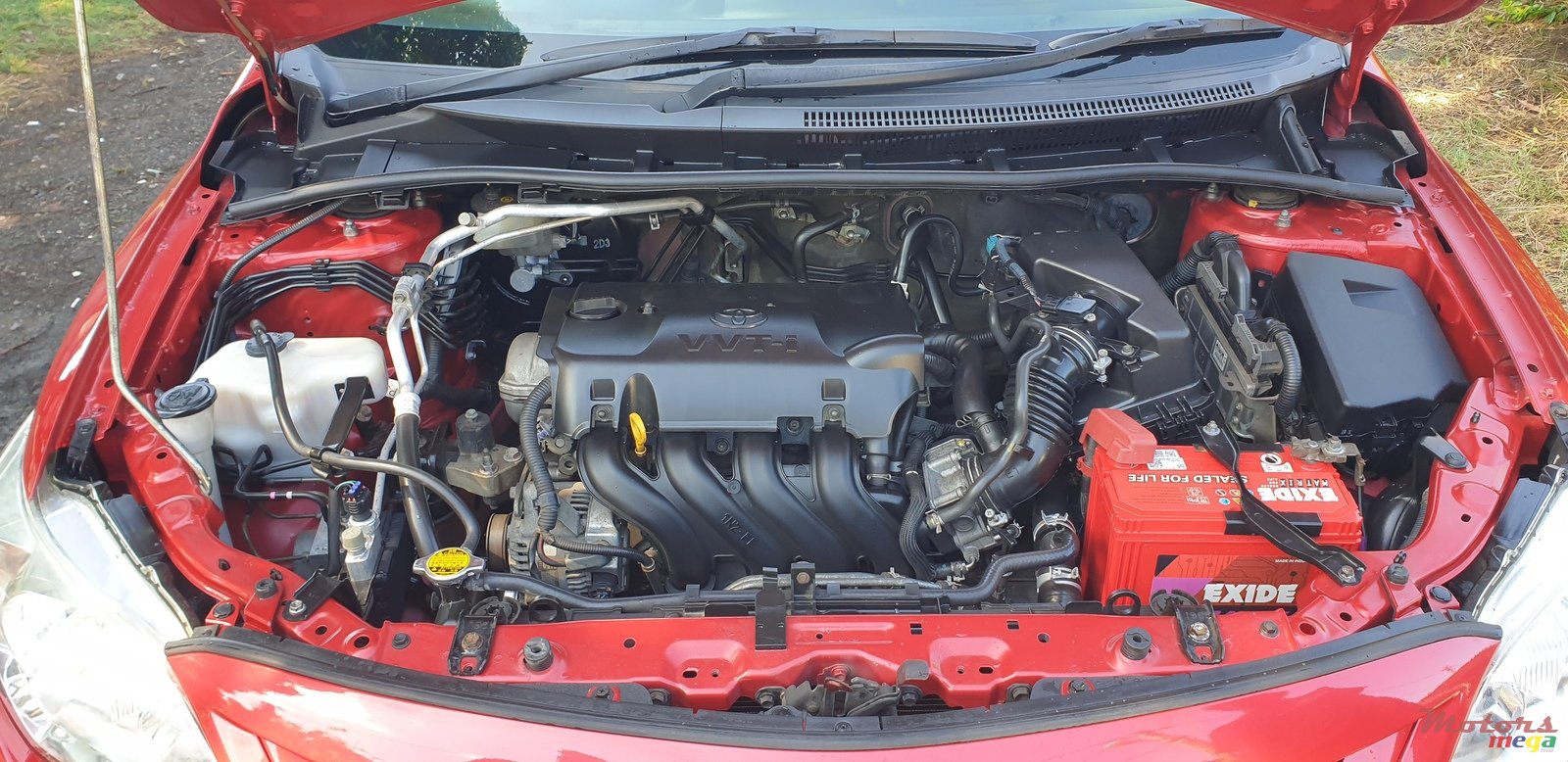 2012' Toyota Corolla GLI photo #5