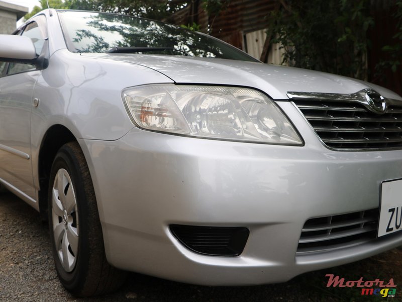 2006' Toyota Corolla NZE photo #3