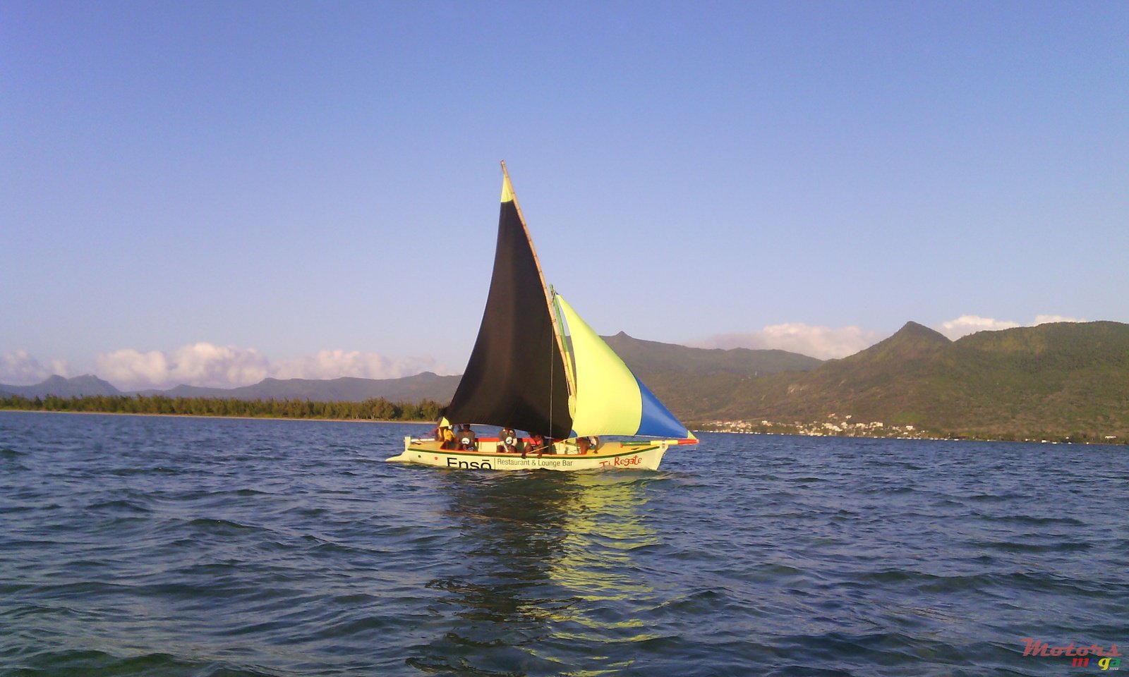 2013' Bark   photo #1