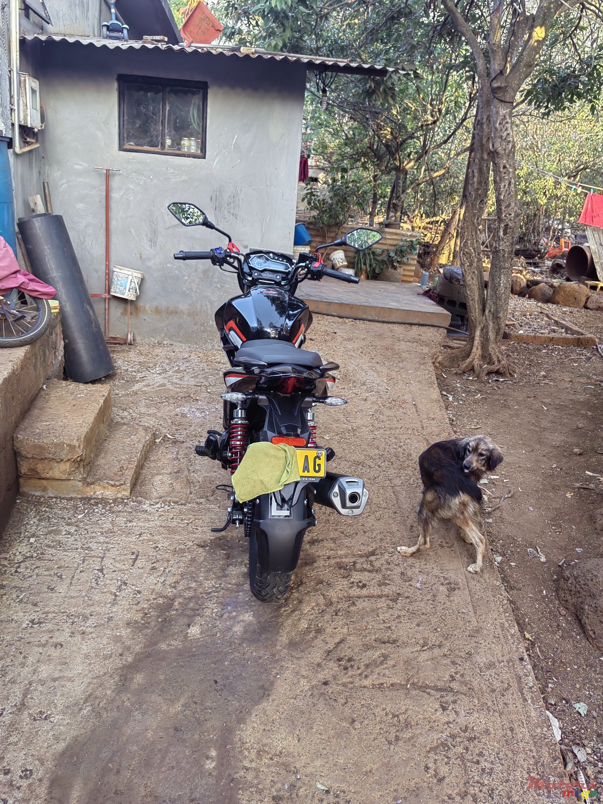 2021' Loncin Cr1 photo #2