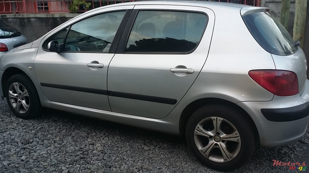 2005' Peugeot 307 photo #7
