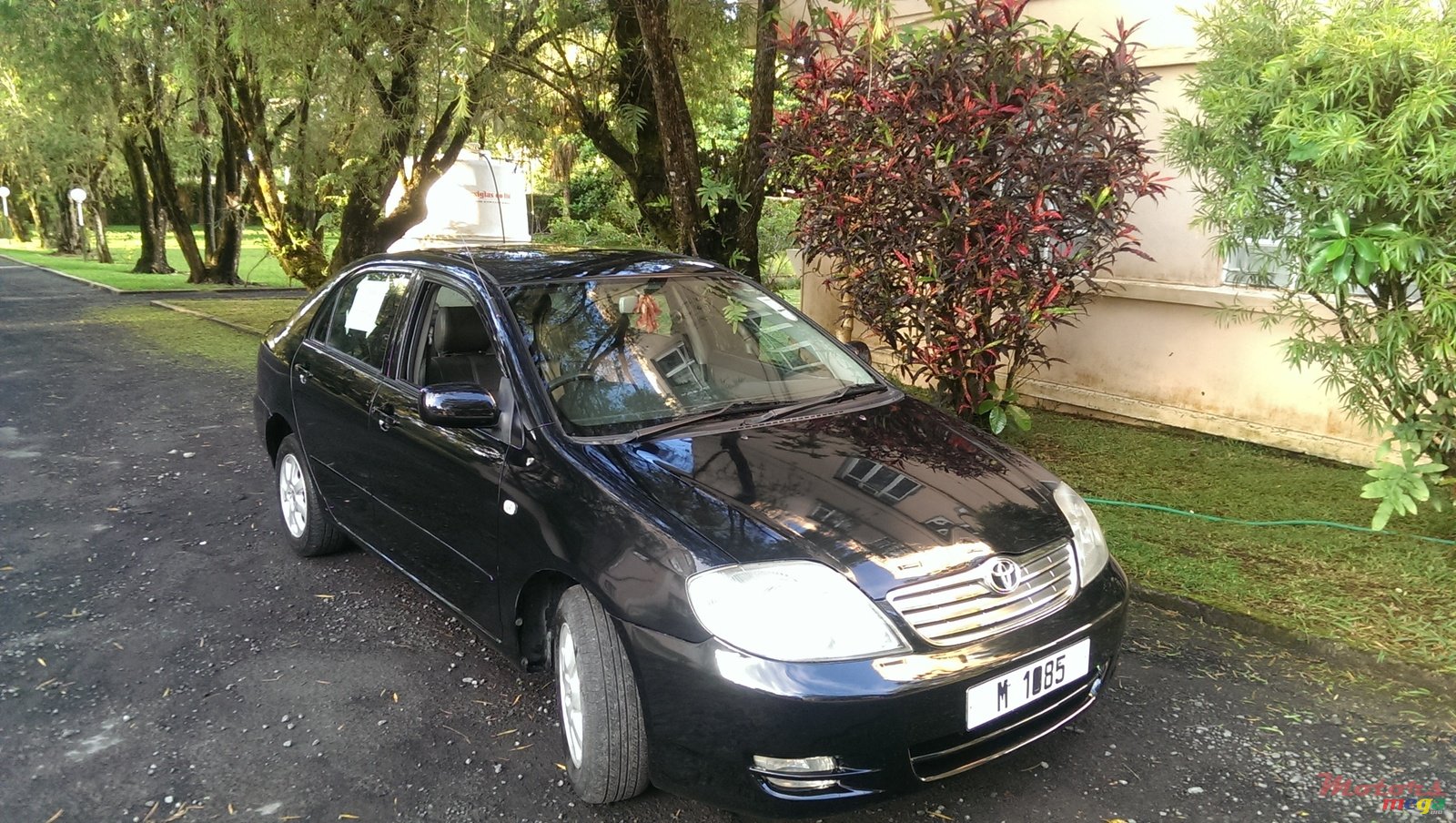 2003' Toyota Corolla NZE photo #1