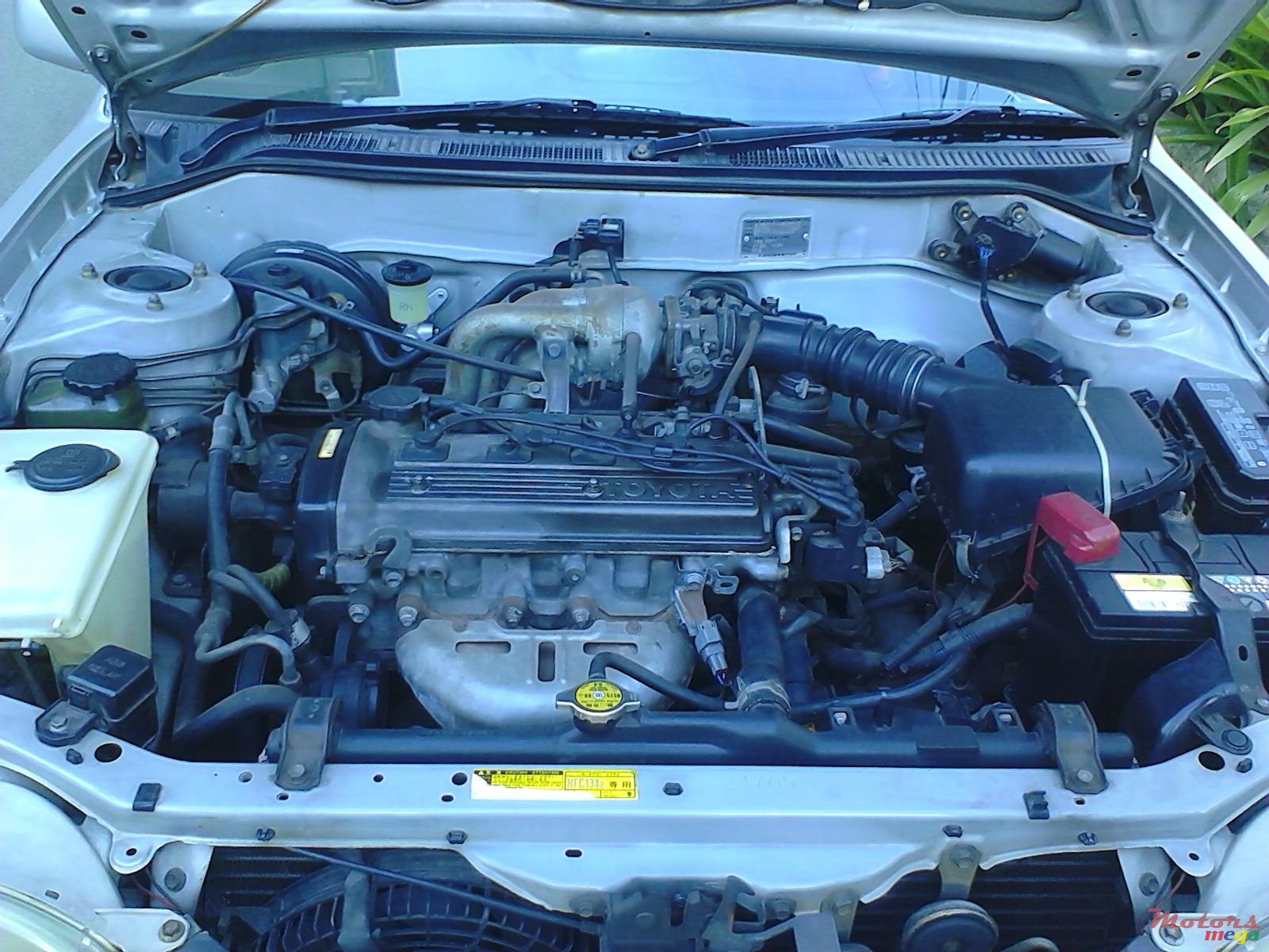 1998' Toyota Corolla photo #3