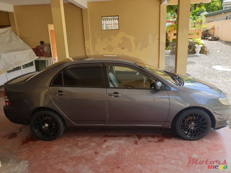 2002' Toyota Corolla Nze photo #3