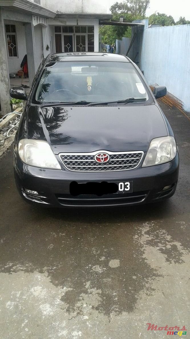 2003' Toyota Corolla photo #4