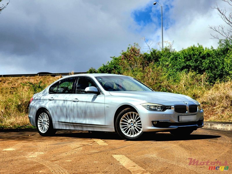 2014' BMW 316 photo #2