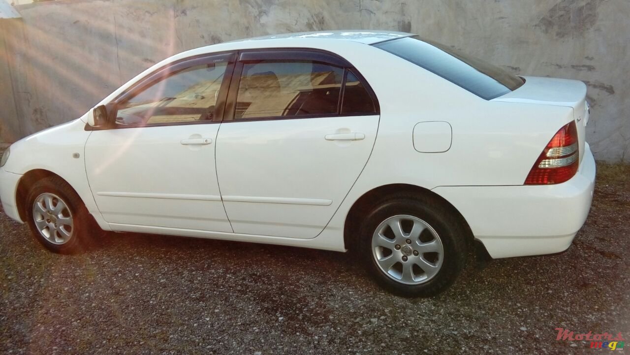 2003' Toyota Corolla photo #1
