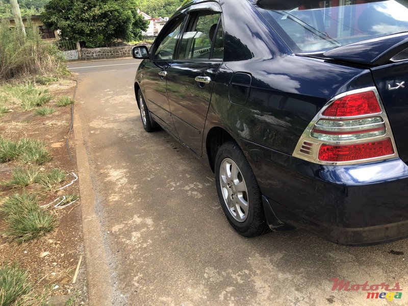 2003' Toyota Corolla photo #2