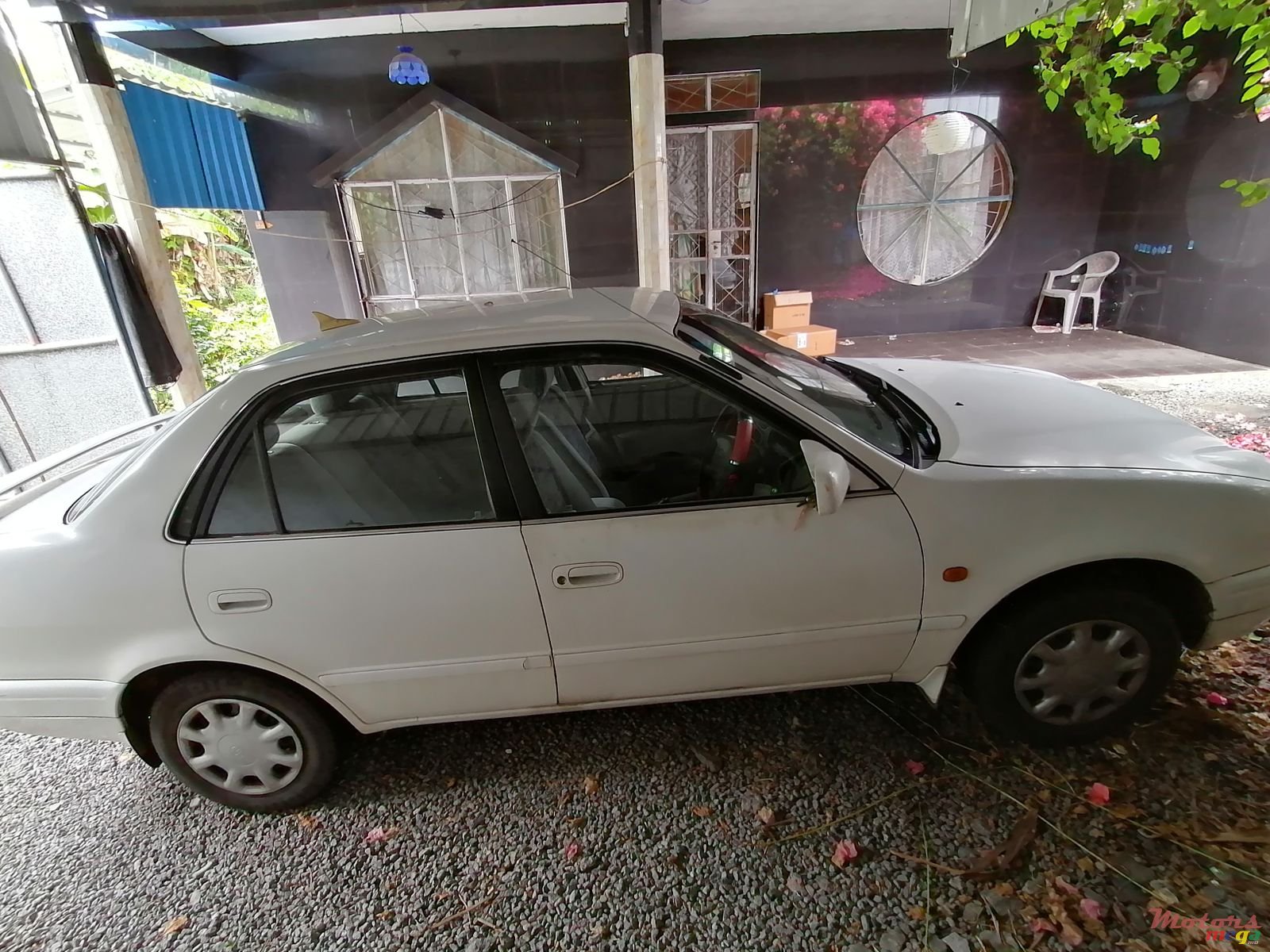 1999' Toyota Corolla photo #4