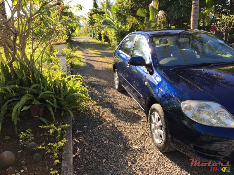 2003' Toyota Corolla photo #6