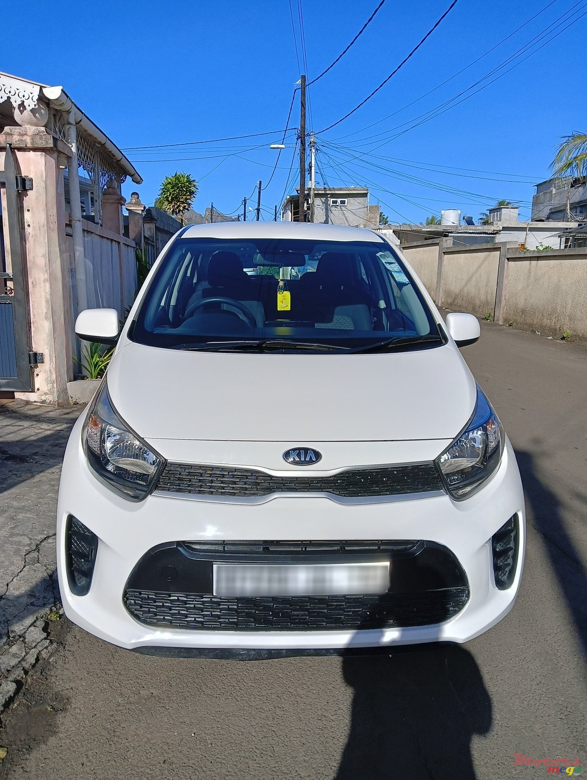 2019' Kia Picanto photo #1