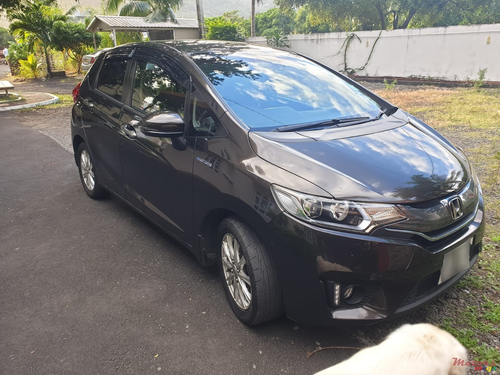 2016' Honda Fit photo #1