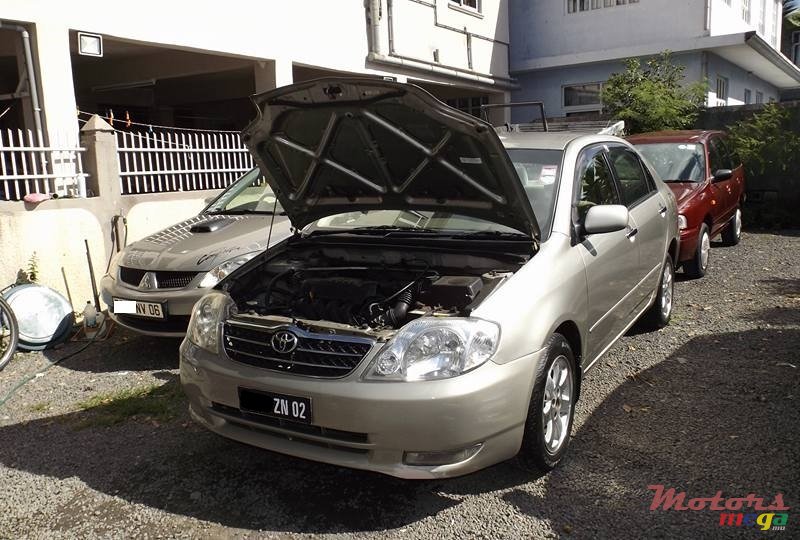 2002' Toyota Corolla NZE photo #7