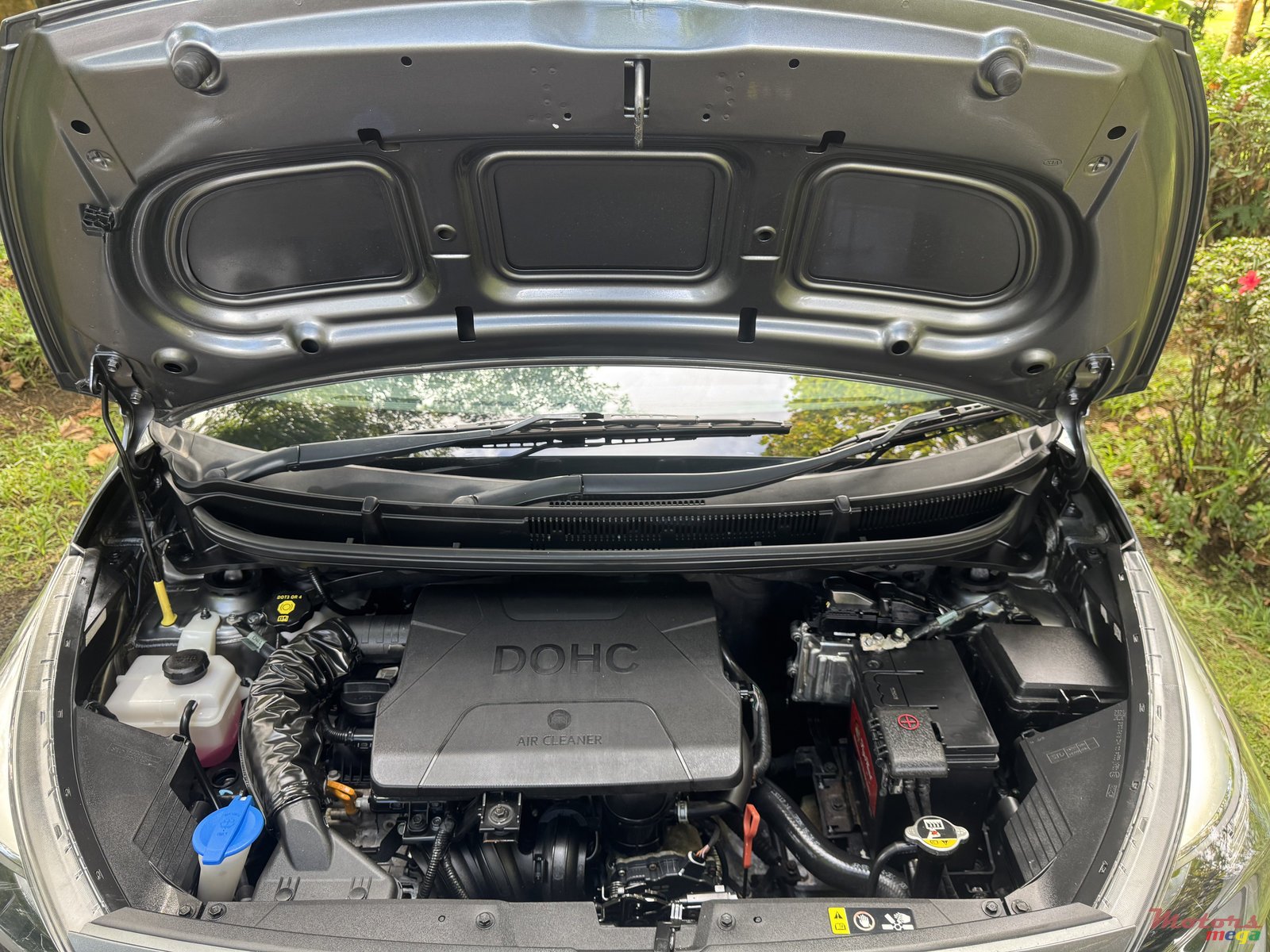2023' Kia Picanto photo #6