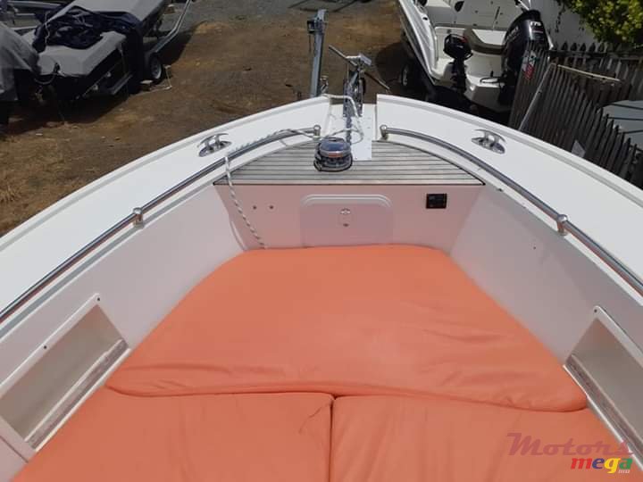 2018' Tema marine photo #2