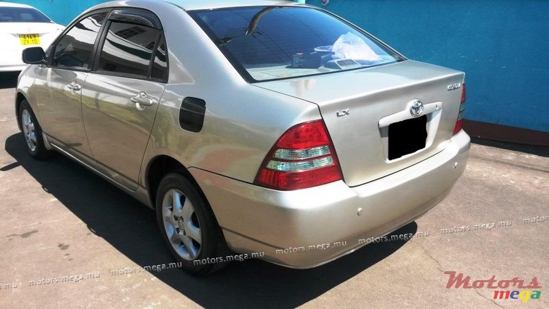 2001' Toyota Corolla NZE photo #5