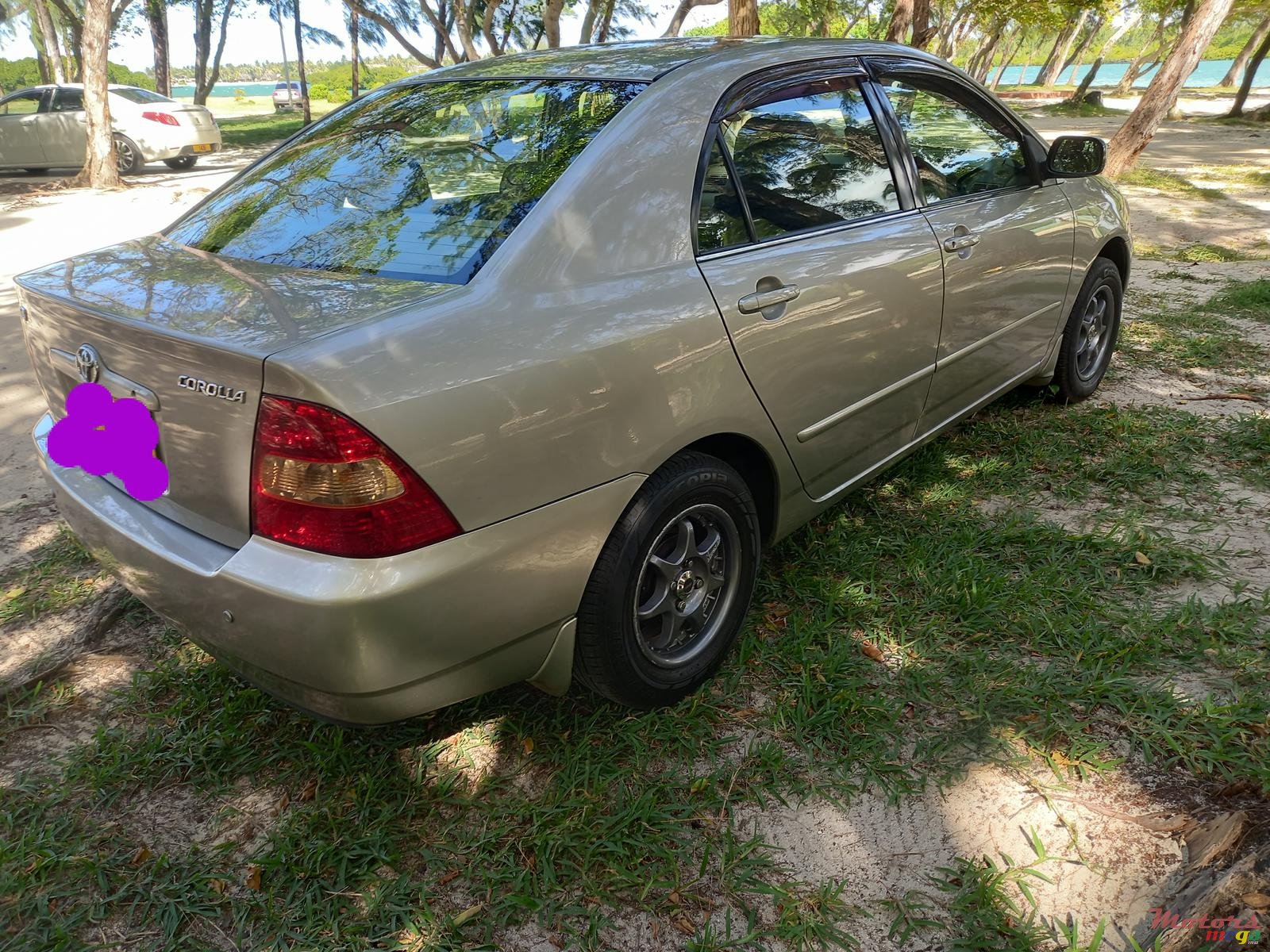 2002' Toyota Corolla photo #5