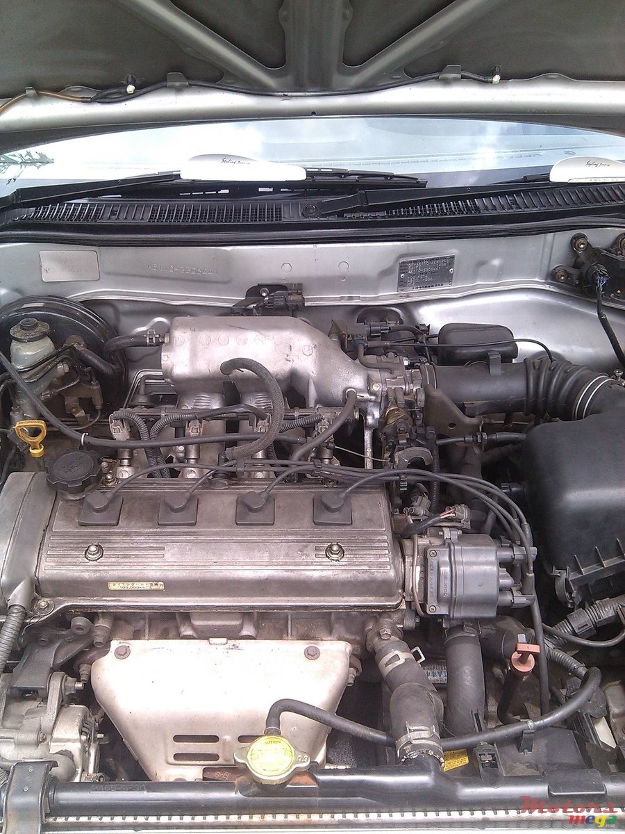 1999' Toyota photo #5